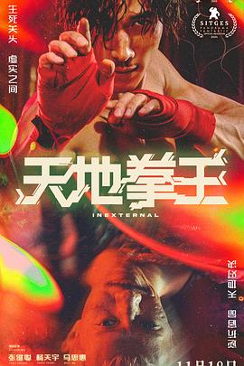 天地拳王国语